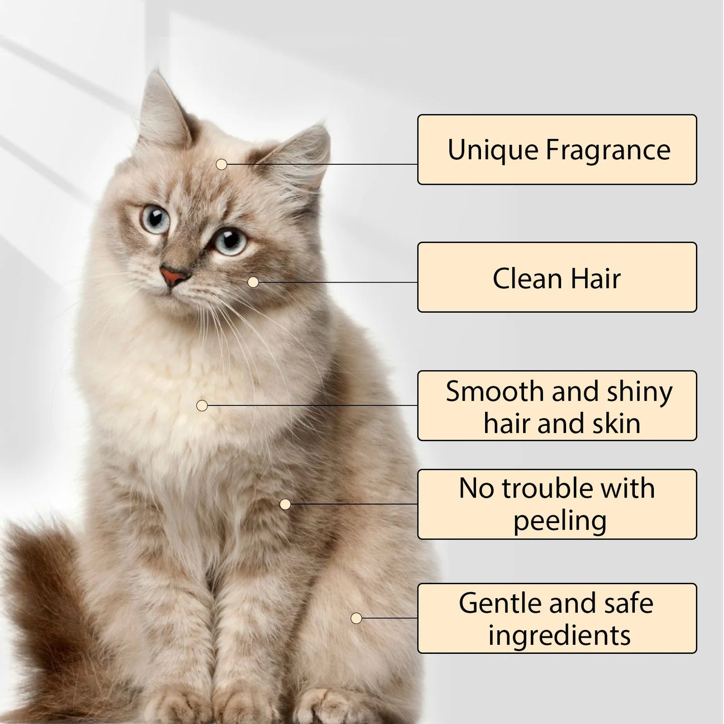 Pet Wash Shampoo for Dogs