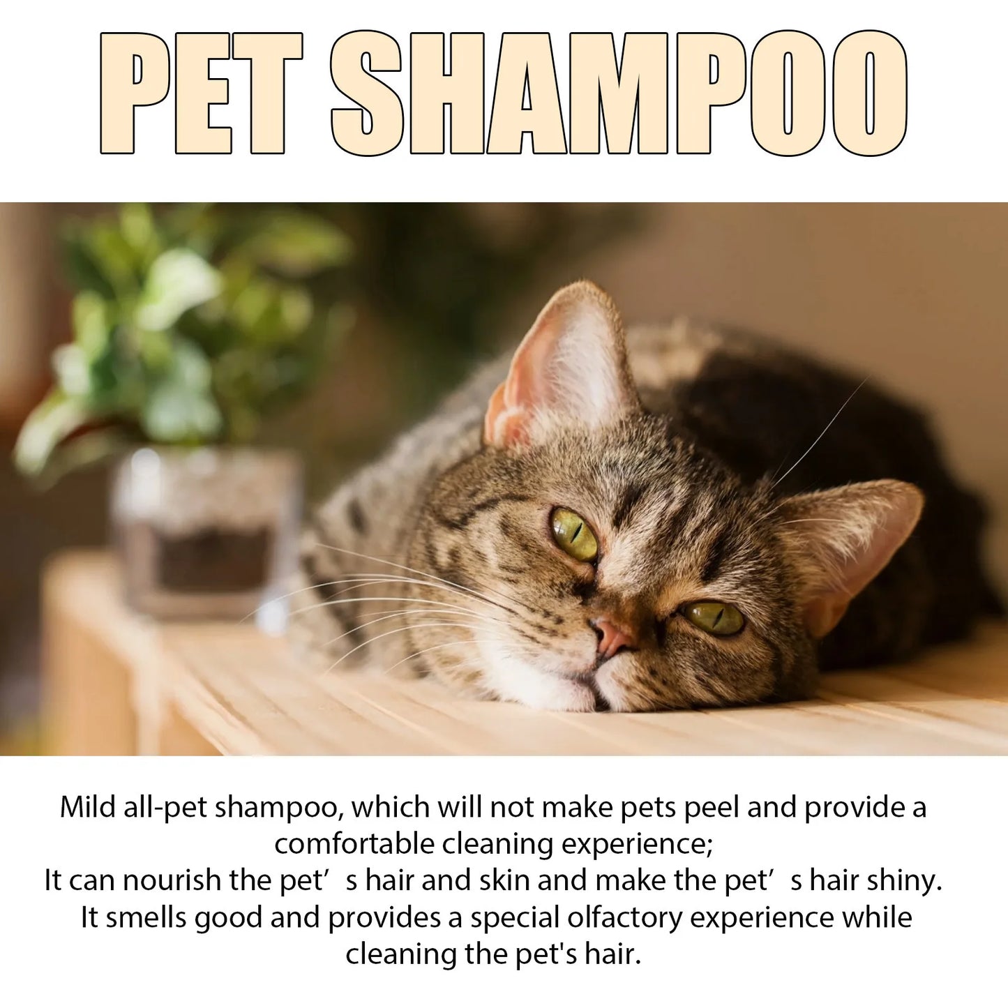 Pet Wash Shampoo for Dogs