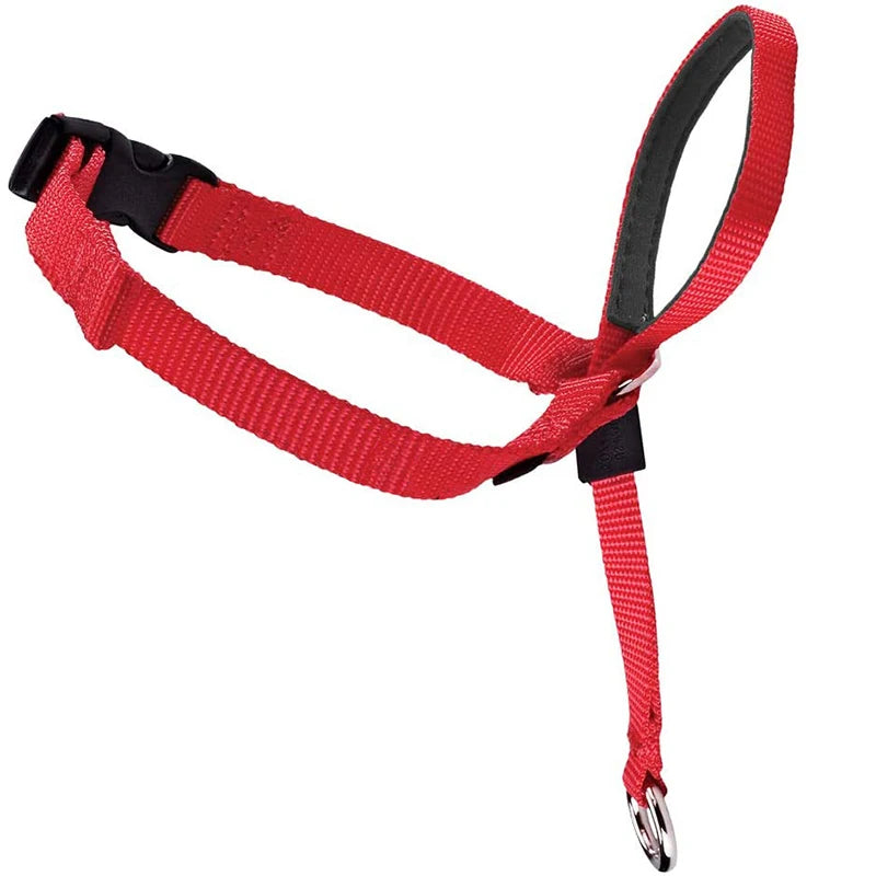 Adjustable Nylon Dog Padded Head Collar Gentle Leash Leader