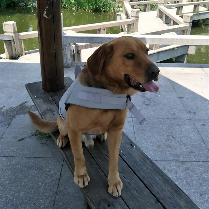 Funny Shark Life Jacket Vest for Dogs