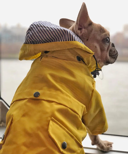 Dog Raincoat Pet Clothes Dog Clothes Rain Water
