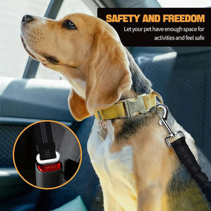 Safety Car Seat Belt Leash Black