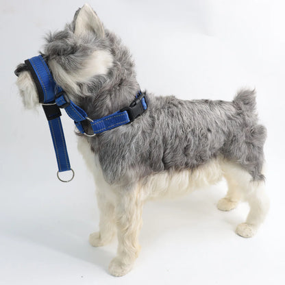 Quick-release No Pull Dog Muzzle