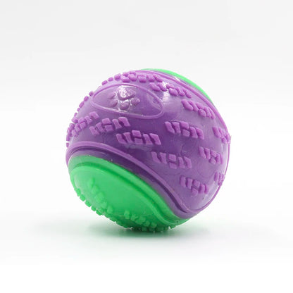 Bite Resistance Squeaky Dog Ball Toy
