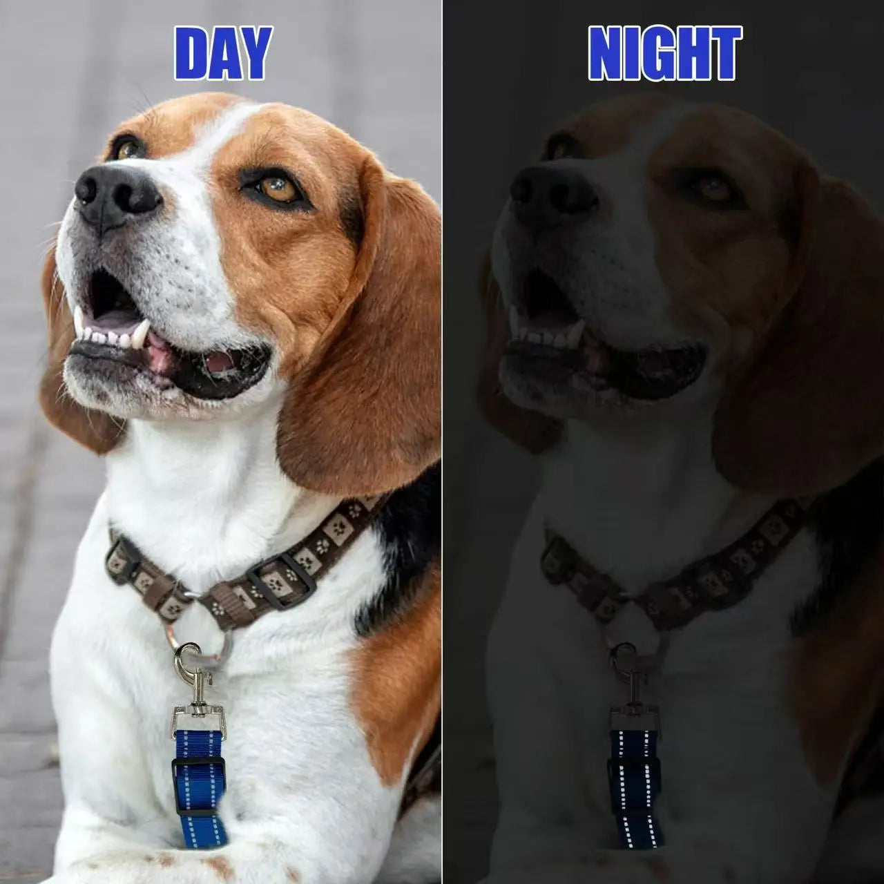Reflective Dog Safety Collar Clip