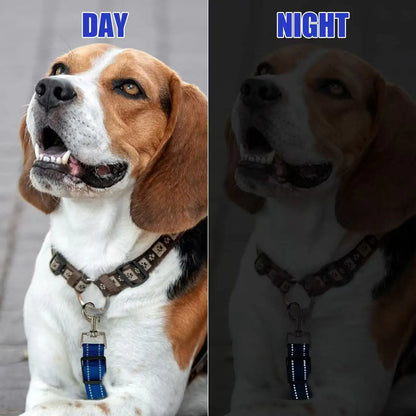 Reflective Dog Safety Collar Clip