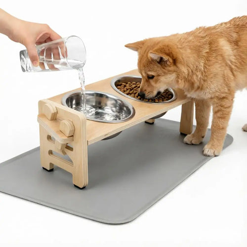 Elevated Food and Water Stainless Steel Bowls