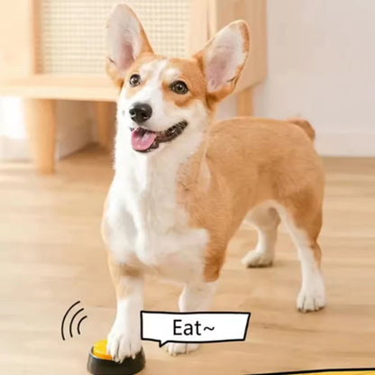 Recordable Talking Buttons