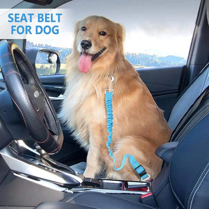 Safety Car Seat Belt Leash Black