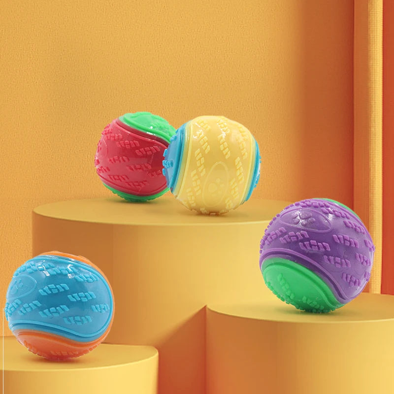 Bite Resistance Squeaky Dog Ball Toy