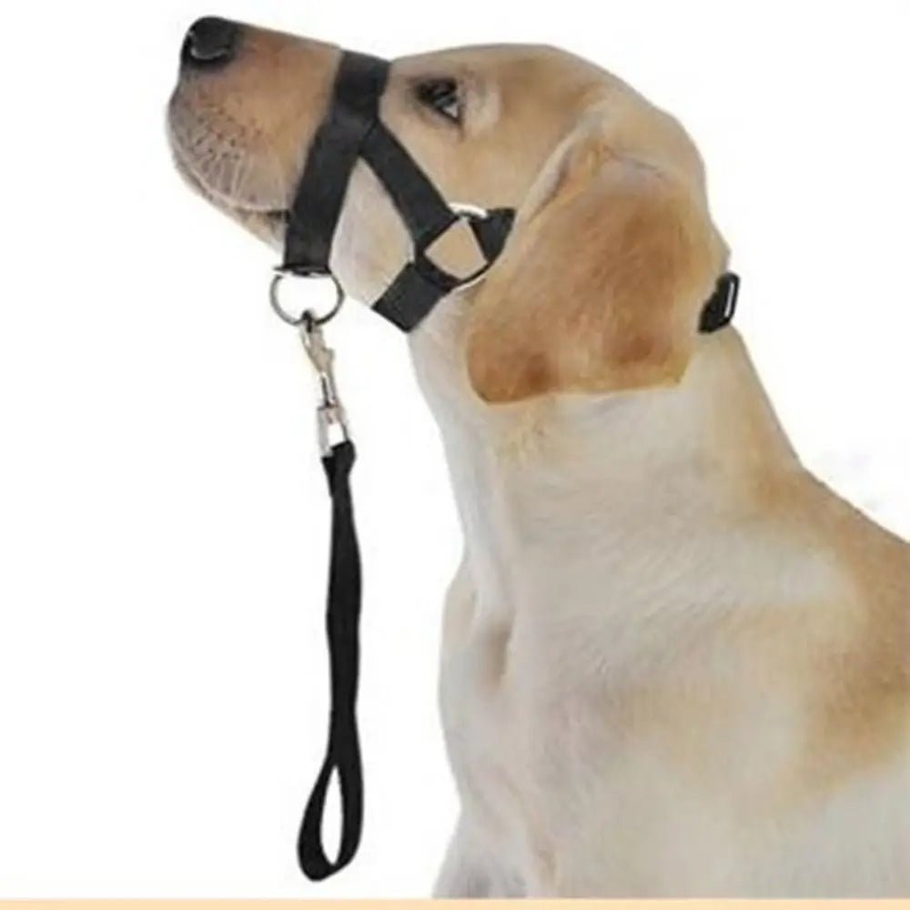 Adjustable No-Pull Dog Head Halter