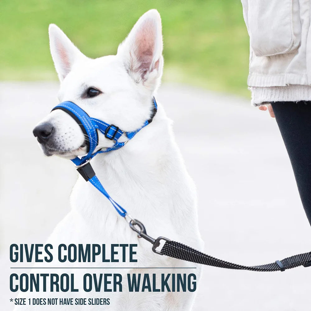 Quick-release No Pull Dog Muzzle