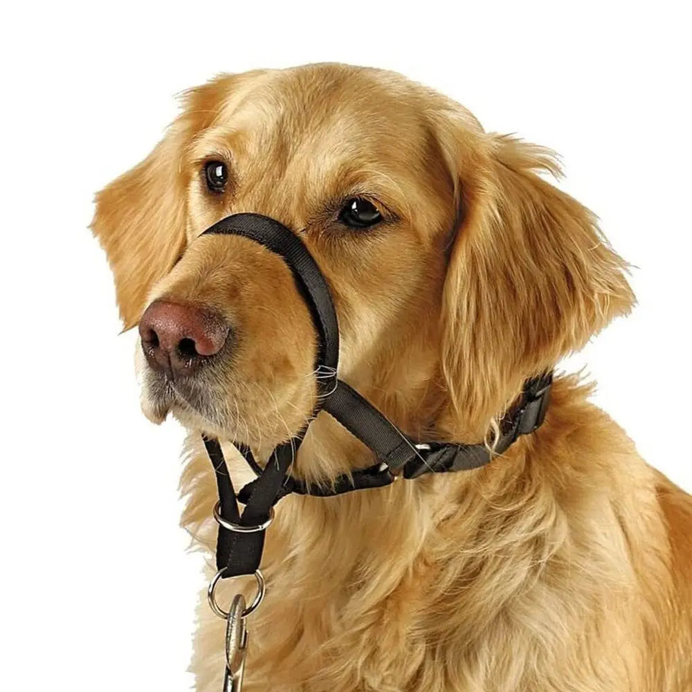 Adjustable No-Pull Dog Head Halter