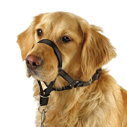 Adjustable No-Pull Dog Head Halter