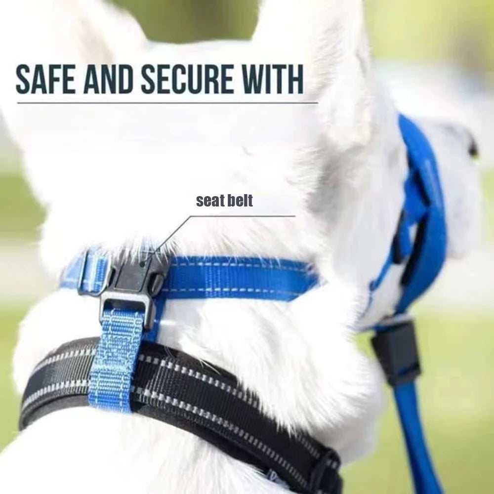 Quick-release No Pull Dog Muzzle