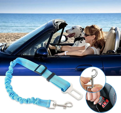 Safety Car Seat Belt Leash Black