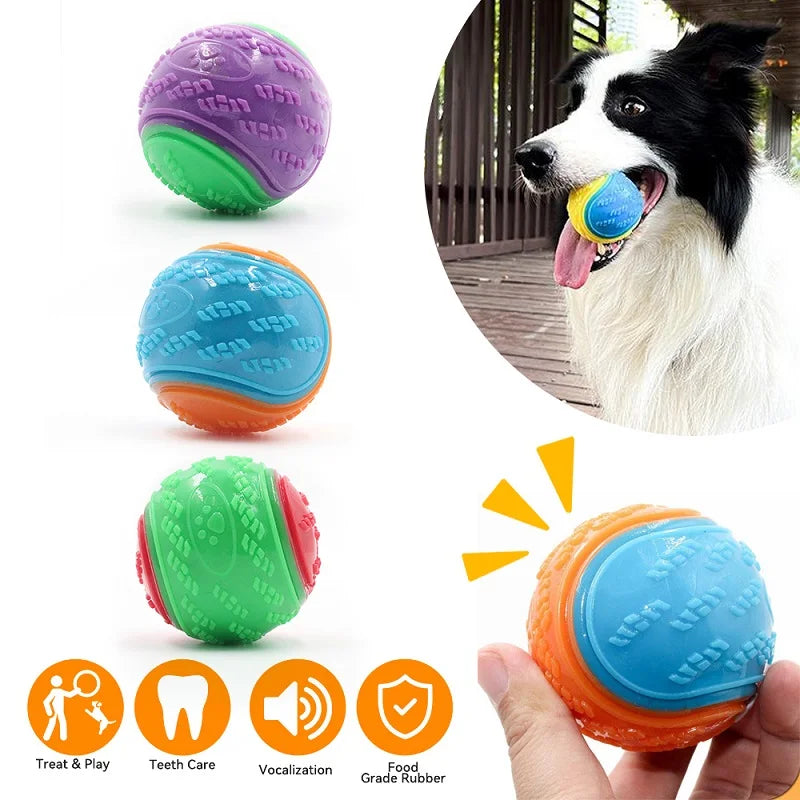 Bite Resistance Squeaky Dog Ball Toy