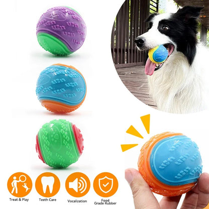 Bite Resistance Squeaky Dog Ball Toy