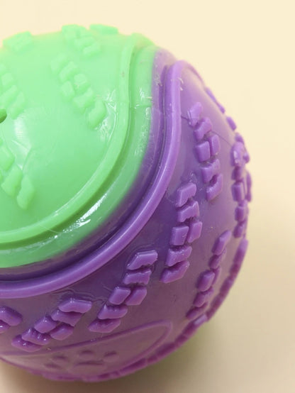 Bite Resistance Squeaky Dog Ball Toy