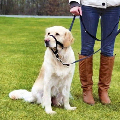 Adjustable No-Pull Dog Head Halter