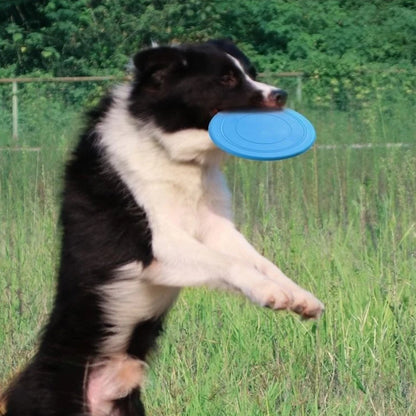 Silicone fun pet frisbee