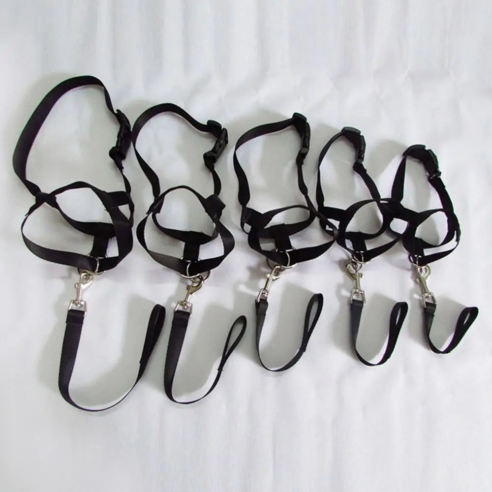 Adjustable No-Pull Dog Head Halter