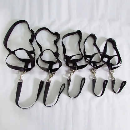 Adjustable No-Pull Dog Head Halter
