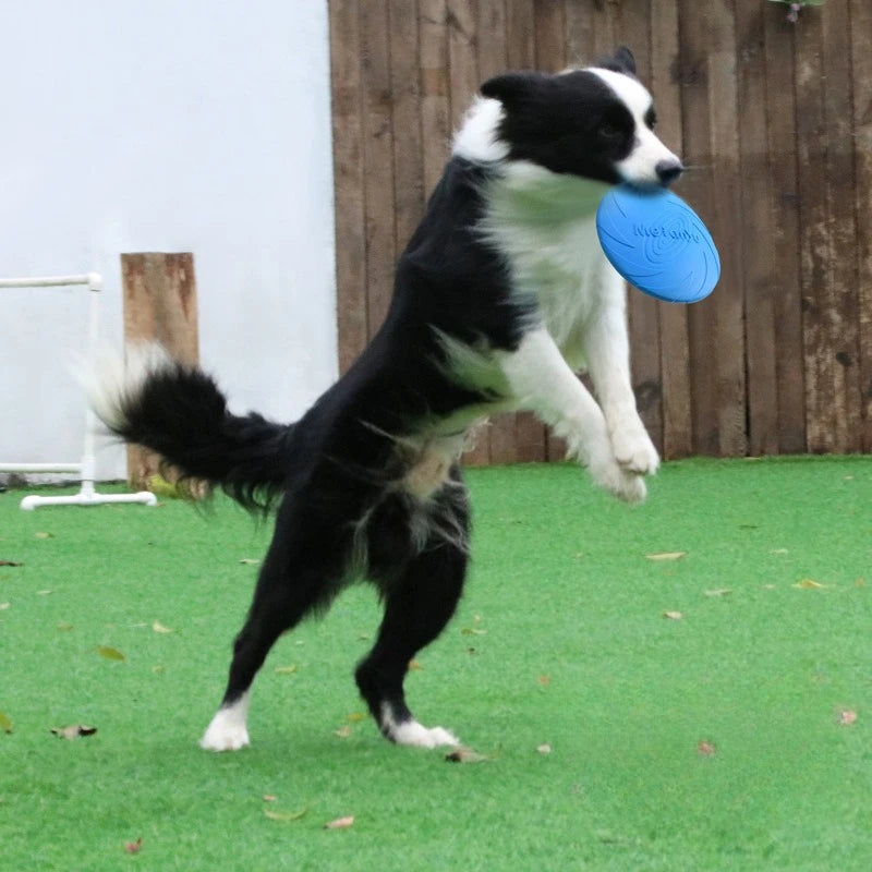 Meianu Dog Frisbee