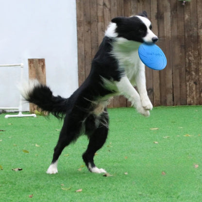Meianu Dog Frisbee