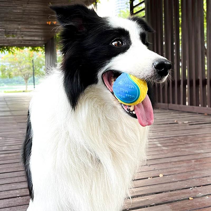 Bite Resistance Squeaky Dog Ball Toy