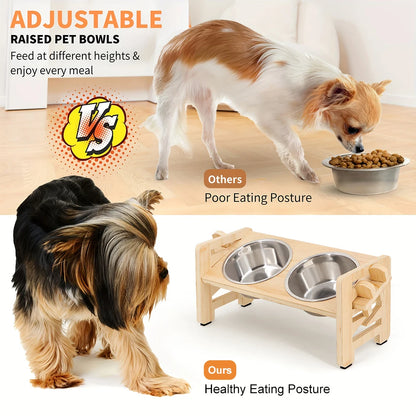 Elevated Food and Water Stainless Steel Bowls
