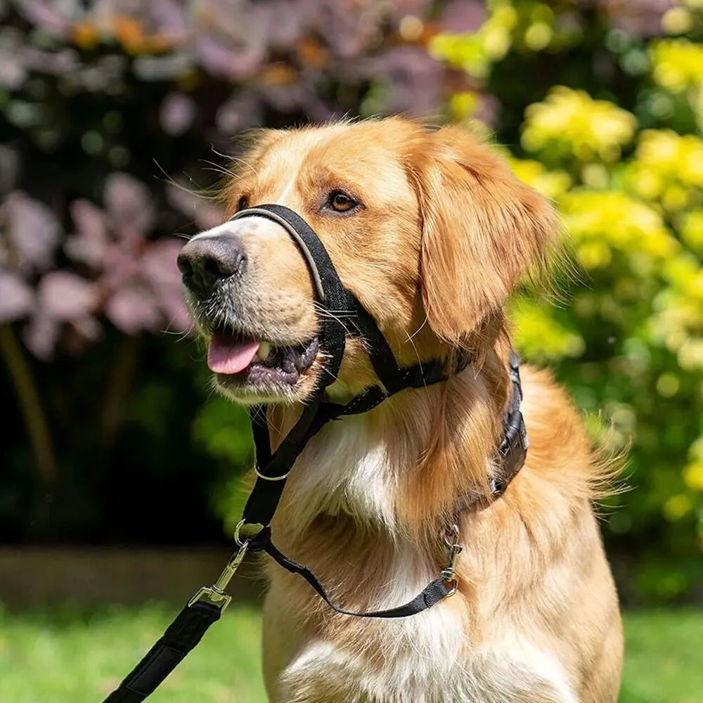 Adjustable No-Pull Dog Head Halter