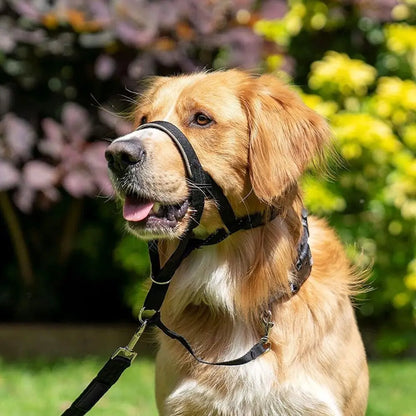 Adjustable No-Pull Dog Head Halter