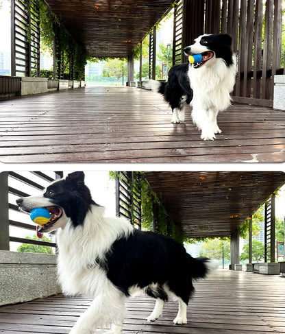 Bite Resistance Squeaky Dog Ball Toy