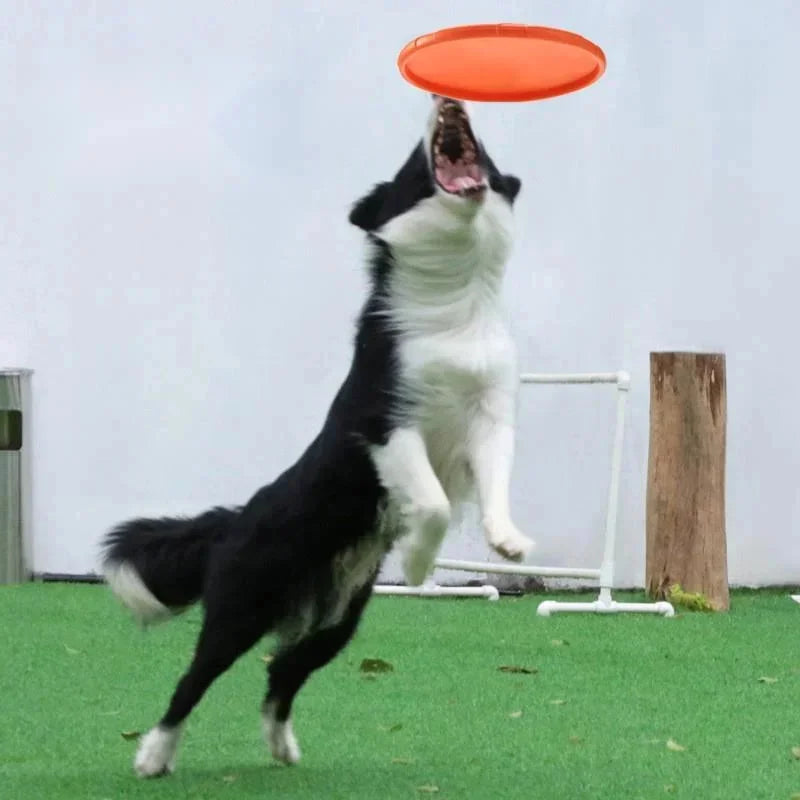Dog-O-Soar Durable Chew Resistant Frisbee
