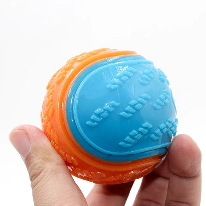 Bite Resistance Squeaky Dog Ball Toy