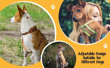 Reflective Dog Safety Collar Clip