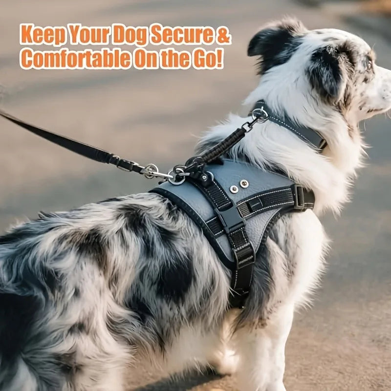 Dog Claw Safety Clip Double-Ended Collar