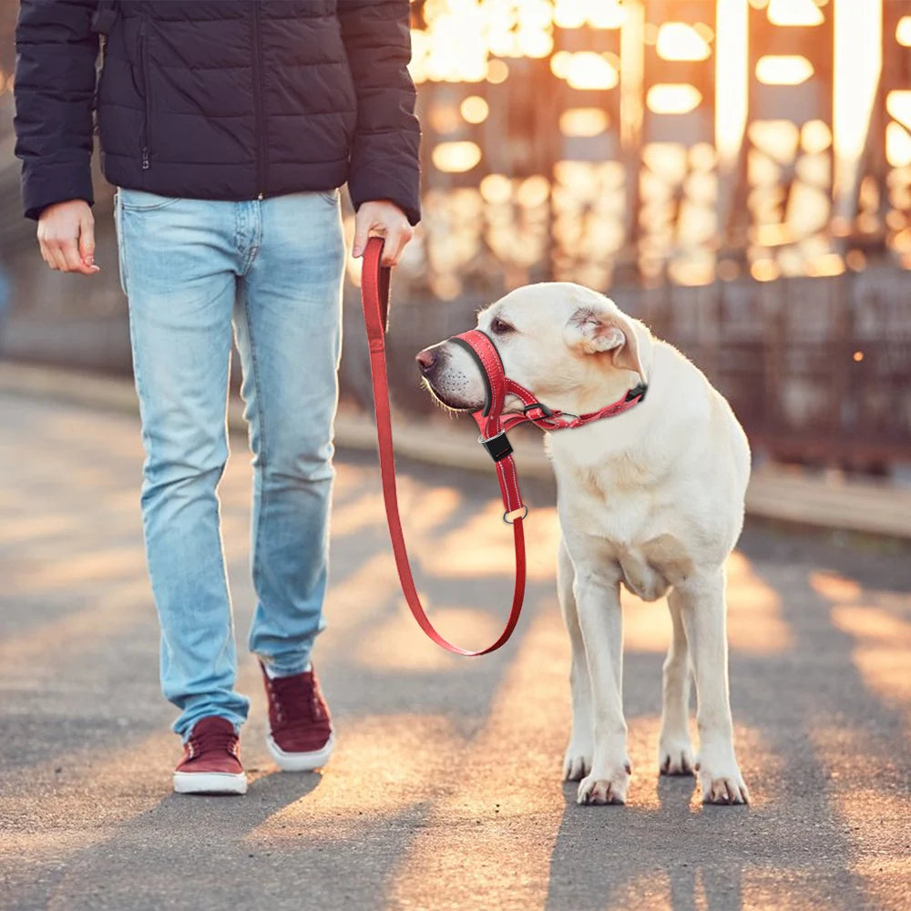 Quick-release No Pull Dog Muzzle
