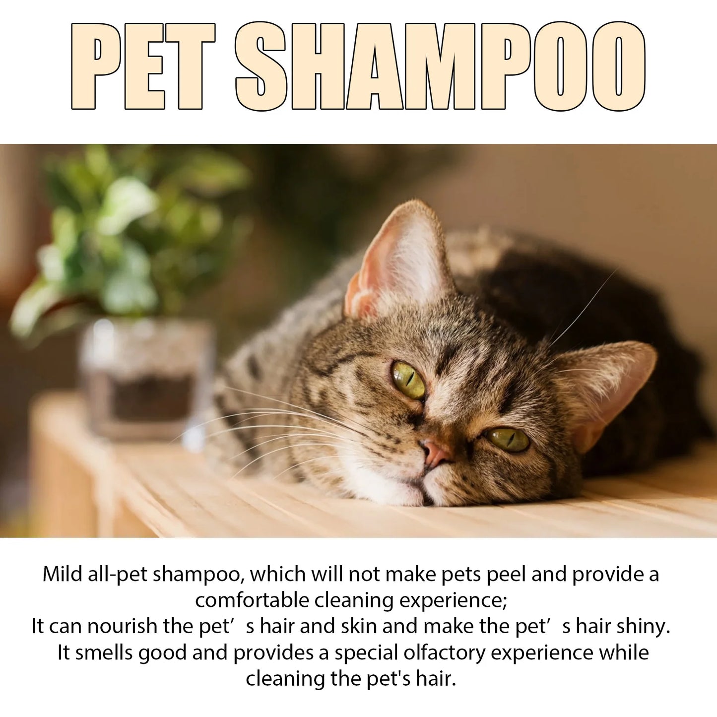 Pet Wash Shampoo for Dogs