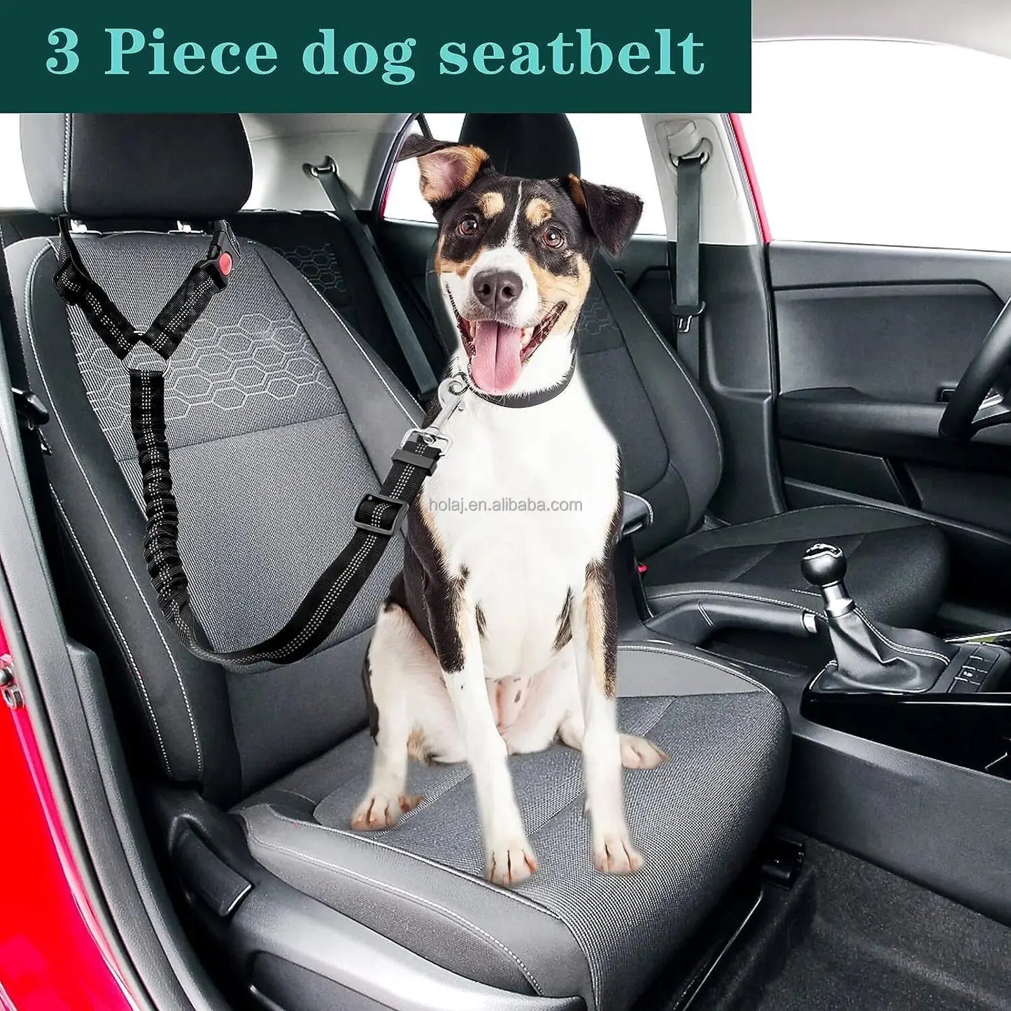 Safety Car Seat Belt Leash Black