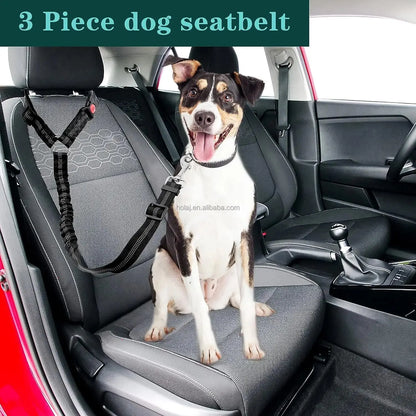 Safety Car Seat Belt Leash Black
