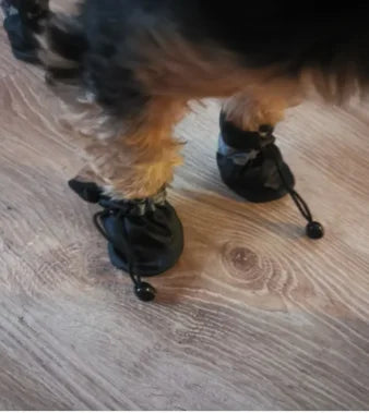 Waterproof Dog Boots