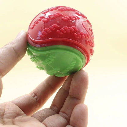 Bite Resistance Squeaky Dog Ball Toy