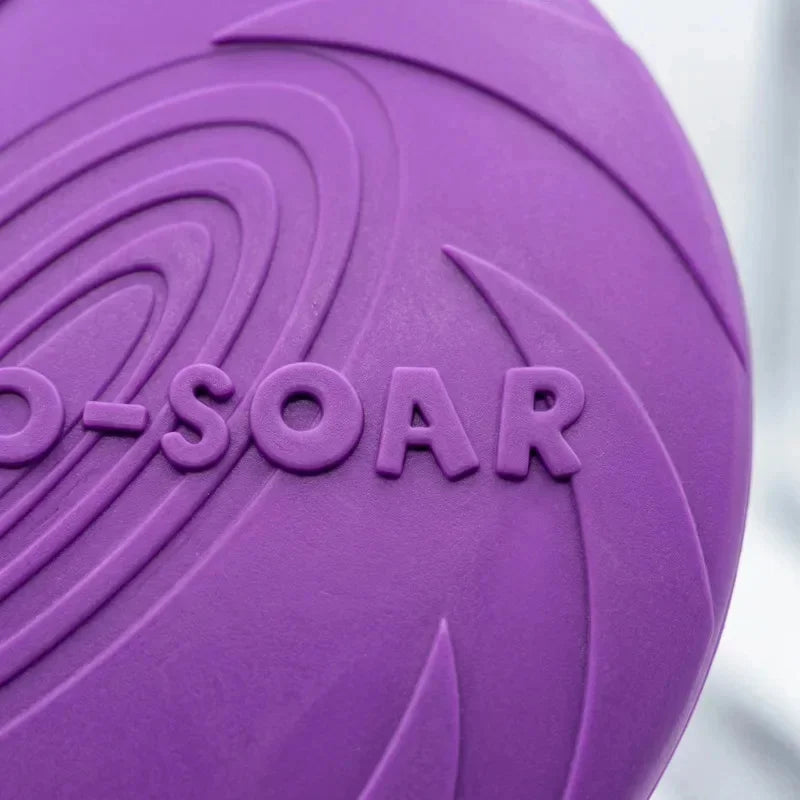 Dog-O-Soar Durable Chew Resistant Frisbee