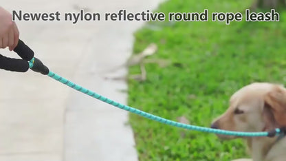 Nylon Reflective Dog Leash