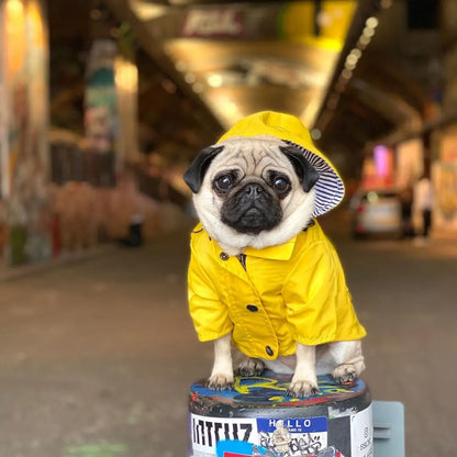 Dog Raincoat Pet Clothes Dog Clothes Rain Water