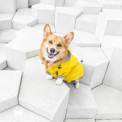 Dog Raincoat Pet Clothes Dog Clothes Rain Water
