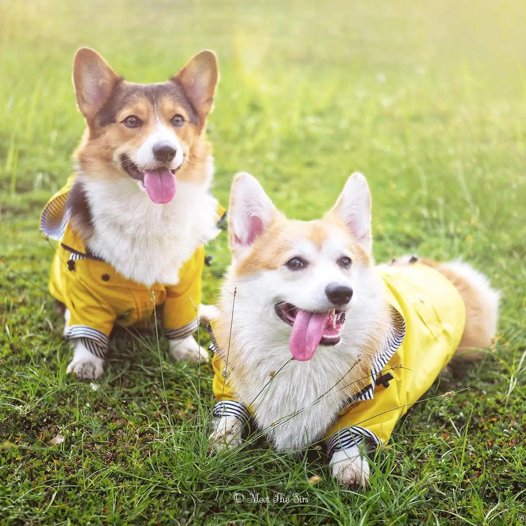 Dog Raincoat Pet Clothes Dog Clothes Rain Water