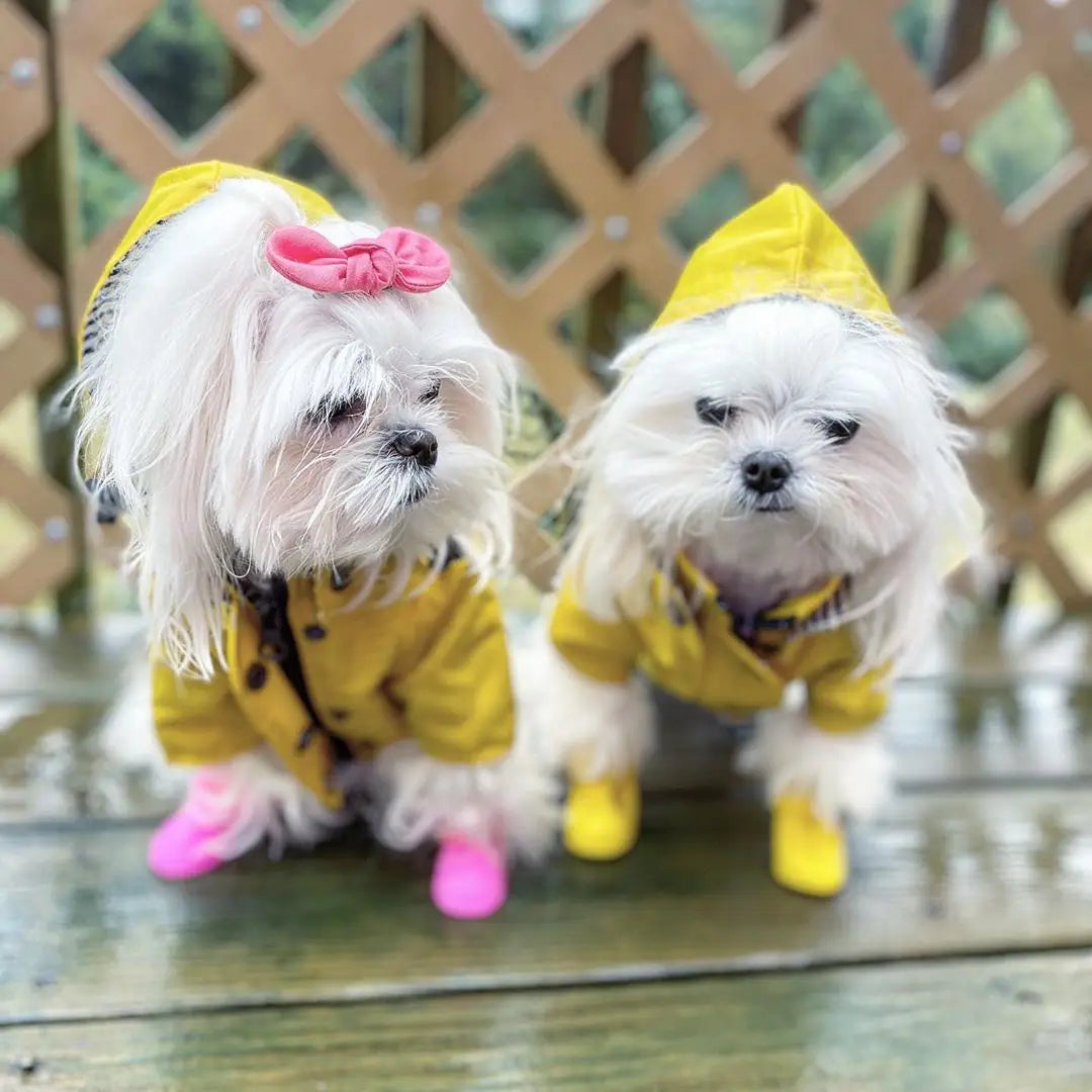 Dog Raincoat Pet Clothes Dog Clothes Rain Water